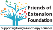FRIENDS OF EXTENSION FOUNDATION